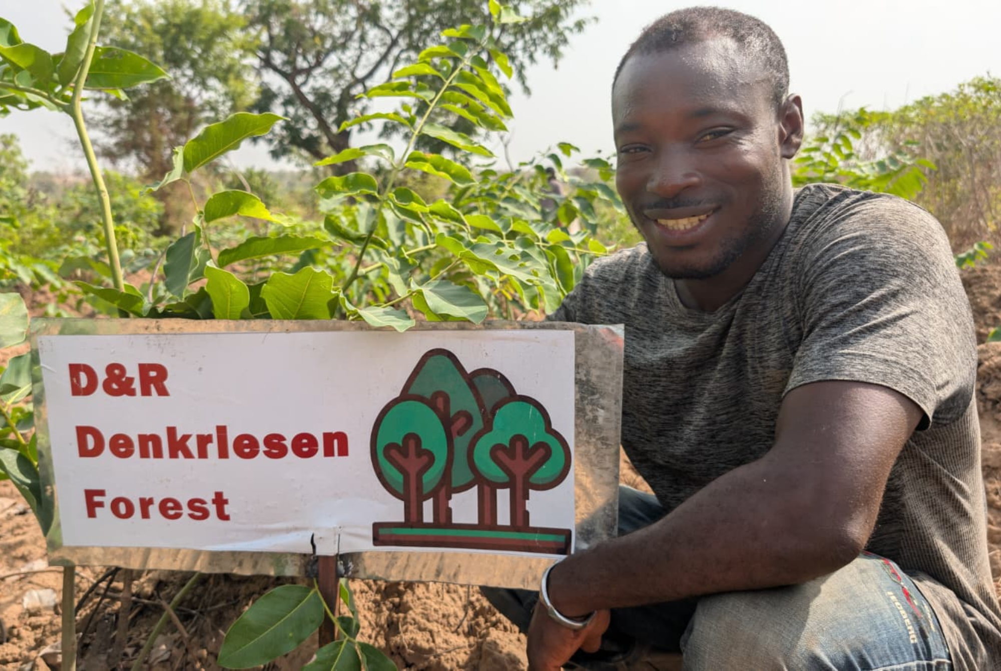 Mehr als Bäume pflanzen: Die Board Game Road