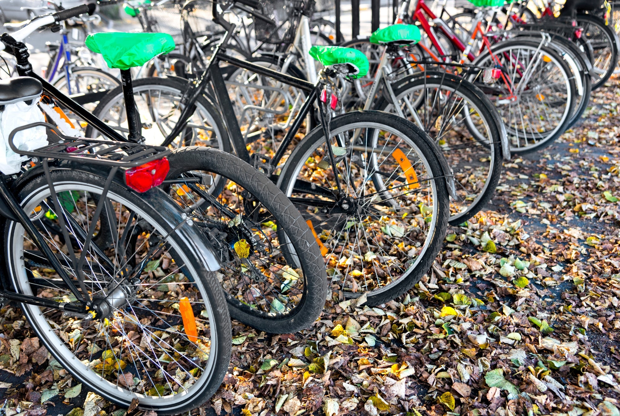 Fünf Fahrradständer für die Waldschule in Quickborn